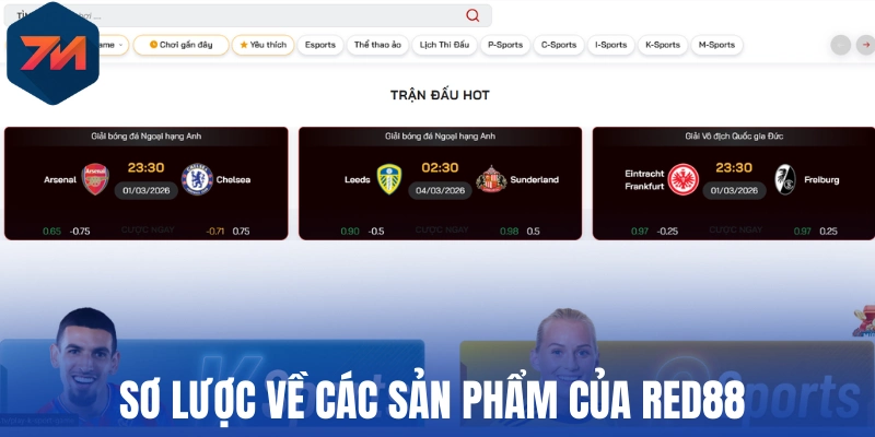 Red88 - Thương Hiệu Thể Thao Chất Lượng Có Tiếng Tại Châu Á 1 Sơ lược về các sản phẩm của Red88