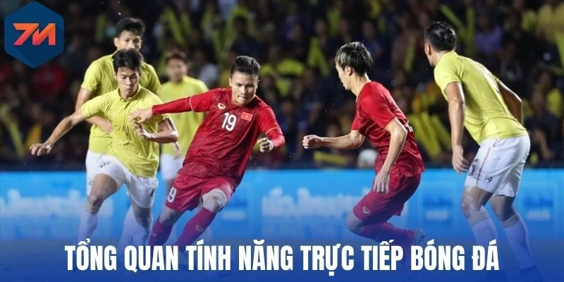 Trực Tiếp Bóng Đá - 7M Lịch Phát Sóng, Nhận Định Đúng Chuẩn 1 Tổng quan tính năng trực tiếp bóng đá