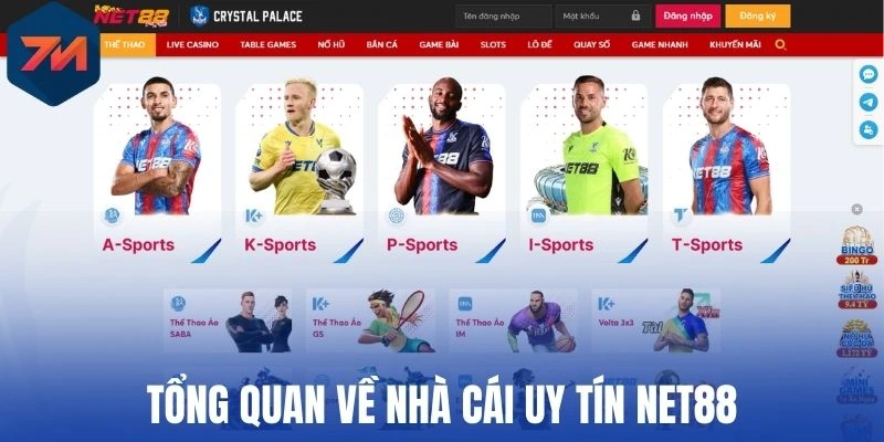 Net88 - Nhà Cái Thể Thao Đẳng Cấp, Update Kèo Ngon Cực Nhanh 1 Tổng quan về nhà cái uy tín Net88
