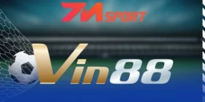 Những kèo thịnh hành do Vin88 cung cấp