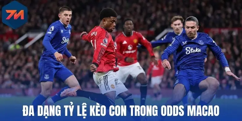 Tỷ Lệ Kèo Macao - Cách Chốt Kèo Ngon Thu Lợi Nhuận Lớn Chuẩn 2 Đa dạng tỷ lệ kèo con trong odds Macao