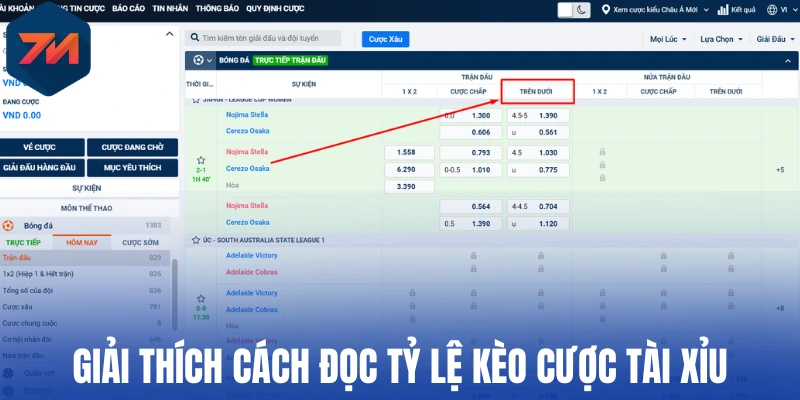 Giải thích cách đọc tỷ lệ kèo cược tài xỉu
