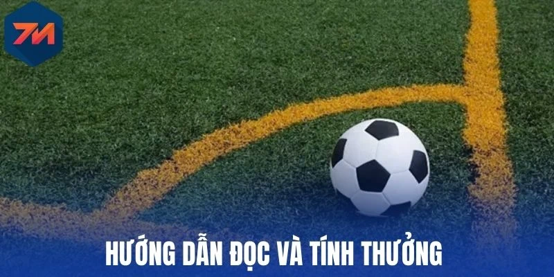 Hướng dẫn đọc và tính thưởng 