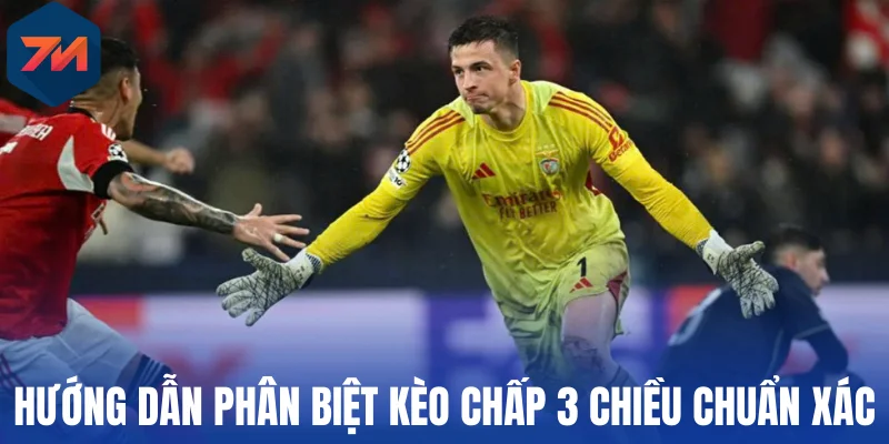Kèo Chấp 3 Chiều - Bí Quyết Đặt Cược Tăng Cơ Hội Kiếm Tiền 2 Hướng dẫn phân biệt kèo chấp 3 chiều chuẩn xác