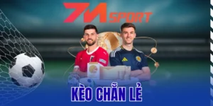 Hướng dẫn cách thức tính tiền kèo chẵn lẻ