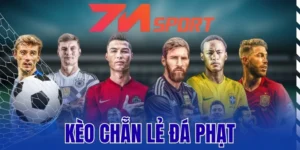 Kèo Chẵn Lẻ Đá Phạt - Cách Đọc Và Dự Đoán Hiệu Quả Nhất 5 Mẹo phân tích kèo cược chẵn lẻ đá phạt