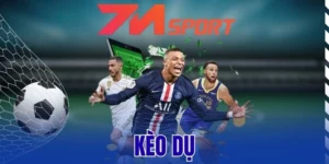 Chiến thuật đầu tư tránh kèo dụ