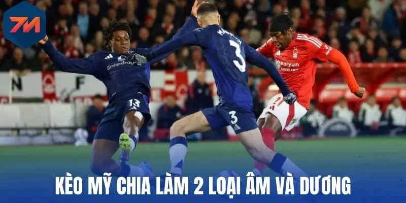 Kèo Mỹ chia làm 2 loại âm và dương