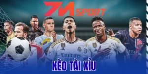 Giải thích cách đọc tỷ lệ kèo cược tài xỉu