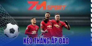 Hướng dẫn cách bắt kèo hiệu quả 