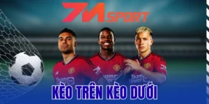Kèo Trên Kèo Dưới - Phân Tích Chuẩn, Chọn Cửa Đúng 9 Kinh nghiệm chơi kèo chắc thắng