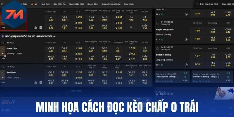 Minh họa cách đọc kèo chấp 0 trái