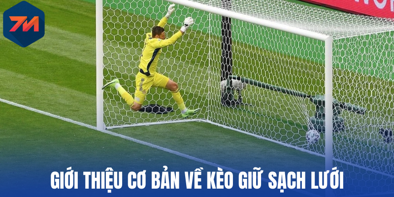 Giới thiệu cơ bản về kèo giữ sạch lưới