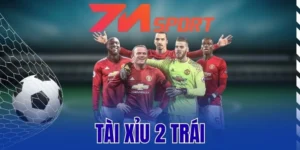 Tài Xỉu 2 Trái - Cách Thức Bắt Kèo Chuẩn Bóng Đá Từ Cao Thủ 7 Cược thủ nên đánh giá phong độ các đội thi