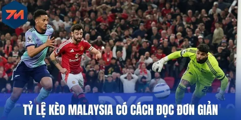 Tỷ Lệ Kèo Malaysia - Cách Hiểu Đúng Và Mẹo Cược Thắng Lớn 1 Tỷ lệ kèo Malaysia có cách đọc đơn giản