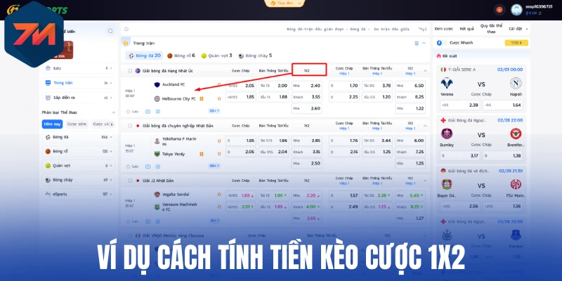 Kèo Châu Âu - Mẹo Chốt Kèo Ngon, Tăng Tỷ Lệ Thắng Cược 2 Ví dụ cách tính tiền kèo cược 1X2
